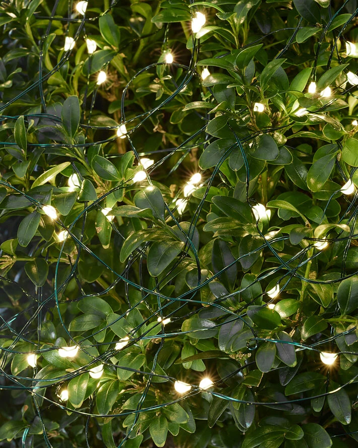 Sirius KNIRKE 15X3,5M LYSKÆDE 500-LYS GRØN Grøn - Billede 3