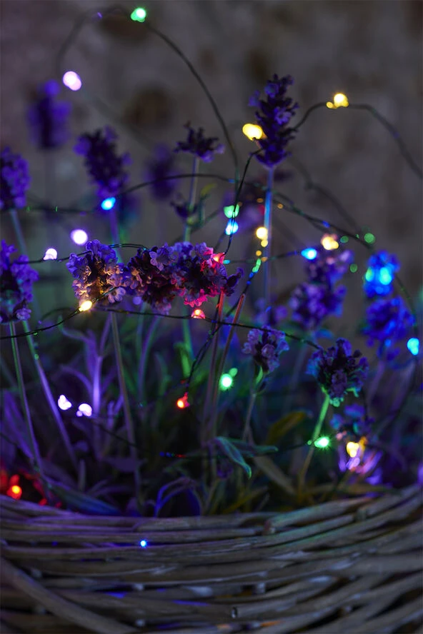 Sirius Knirke, 40L, Multi/Grøn Lyskæde - Billede 2