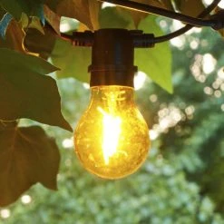 Sirius Tobias, Reservepære, Gul Gul