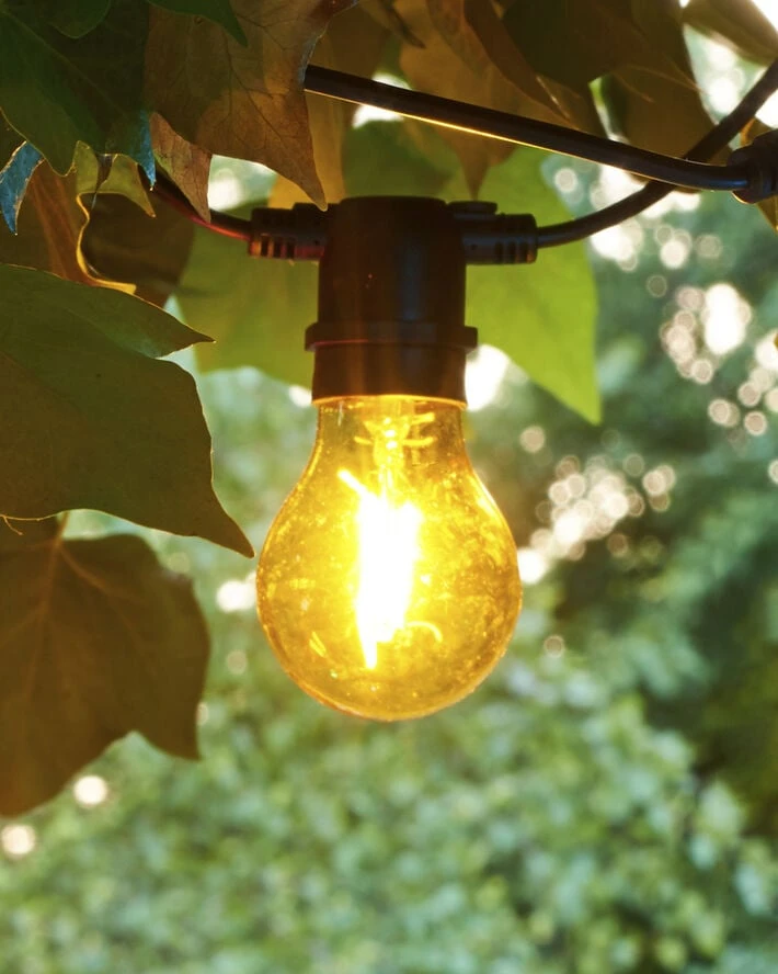 Sirius Tobias, Reservepære, Gul Gul