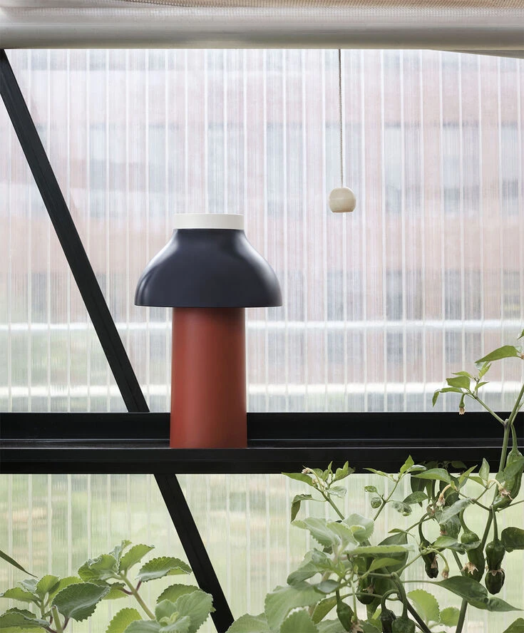 Hay PC Portable Red - Billede 3